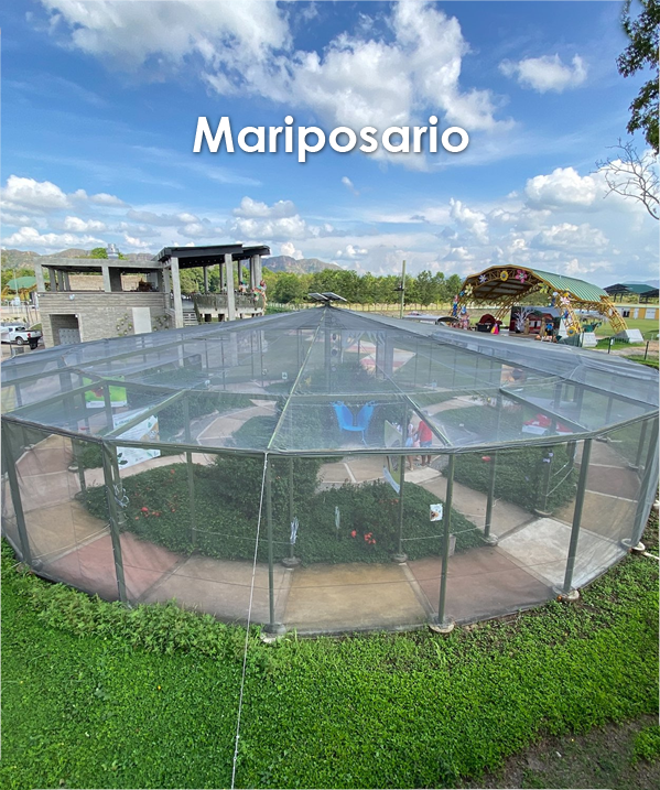 Es un espacio para conocer pedagógicamente sobre las mariposas que habitan en el parque. Allí se permite comprender la estrecha relación entre las plantas y las mariposas.